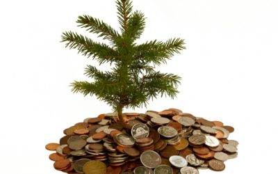 Money Does Grow On Southern Pine Trees